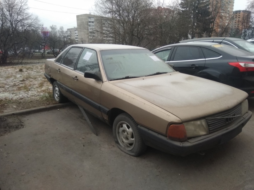 241219av6.jpg