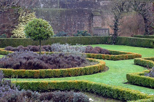 garden-13837__340.jpg