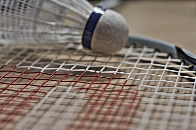 badminton-1019139_640.jpg