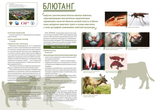 Памятка для владельцев сельскохозяйственных животных