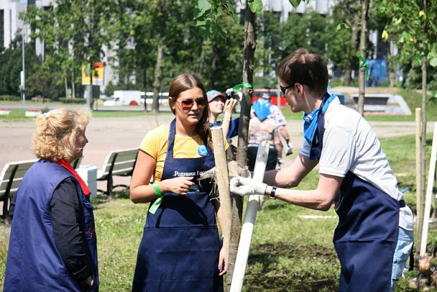 Деревья высадят в Киевском
