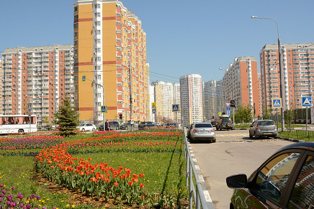  Тюльпаны посадят во Внуковском